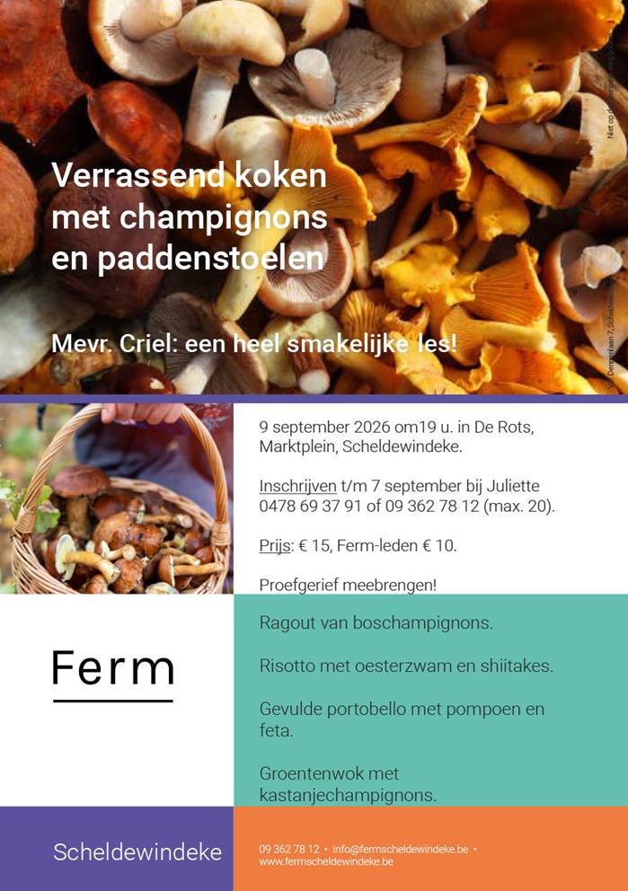 demo champignons en paddenstoelen